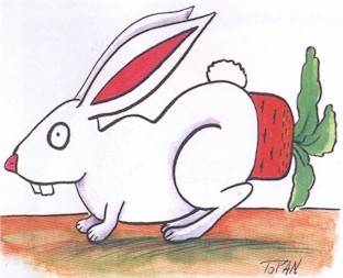 sexrabbit.JPG (24931 bytes)