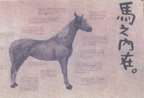 HorseChar.JPG (18331 �Ӧ줸��)