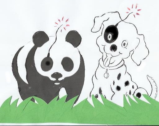 Panda